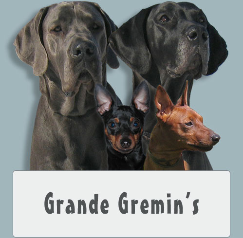 Kennel Grande Gremin's